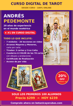 Load image into Gallery viewer, Curso Digital de Tarot desde Cero — Andrés Pedemonte